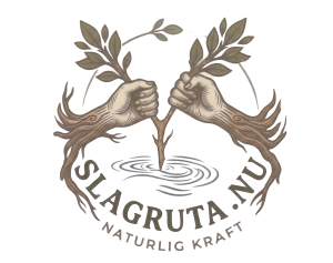 Logga Slagruta.nu